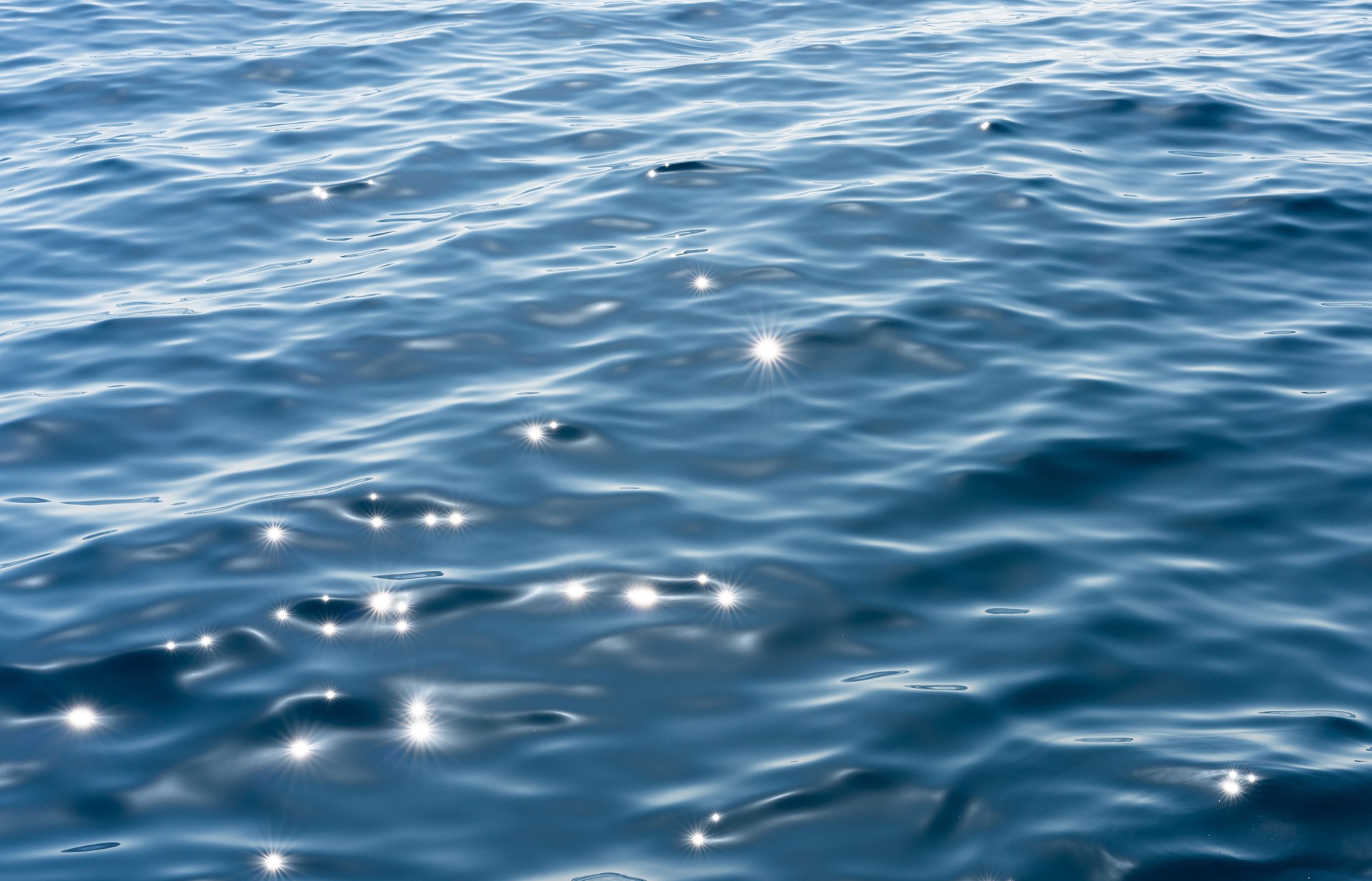 Sunlight sparkles on calm sea